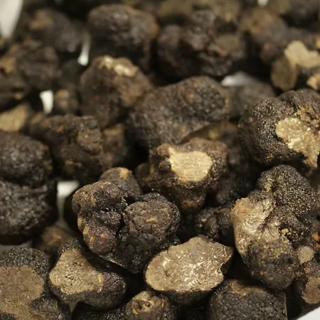 Couette-café Le Vic De De Lomagne 3*