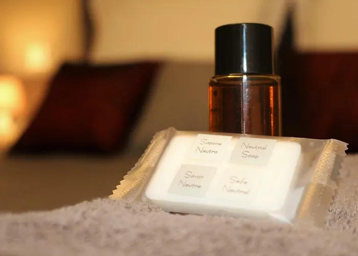 فندق مبيت وإفطار Le Vic De De Lomagne 3*