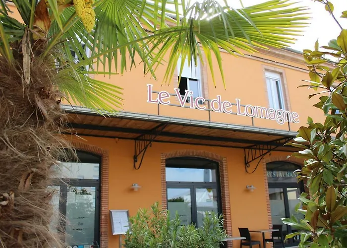 Le Vic De De Lomagne Lavit