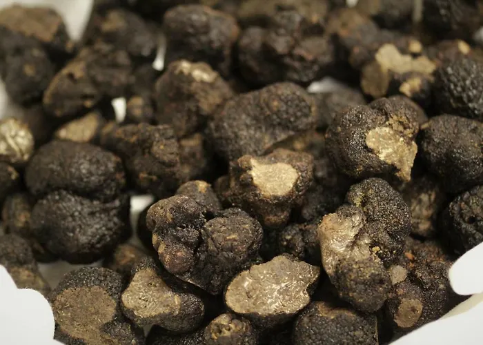 فندق مبيت وإفطار Le Vic De De Lomagne 3*