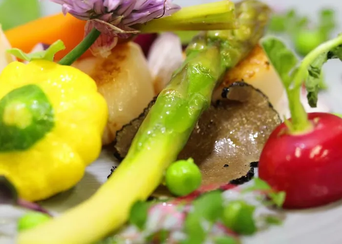 Le Vic De De Lomagne Lavit